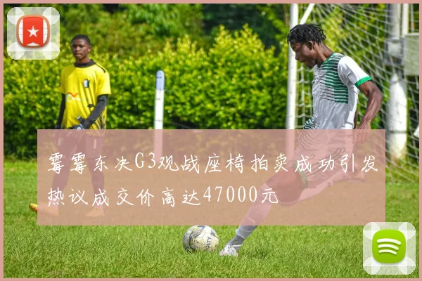 霉霉东决G3观战座椅拍卖成功引发热议成交价高达47000元