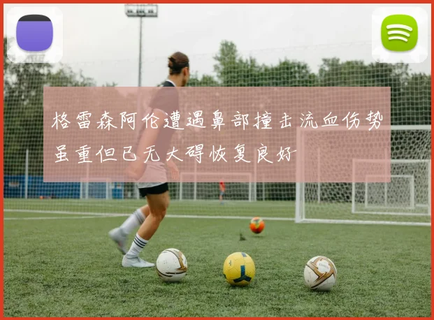 格雷森阿伦遭遇鼻部撞击流血伤势虽重但已无大碍恢复良好