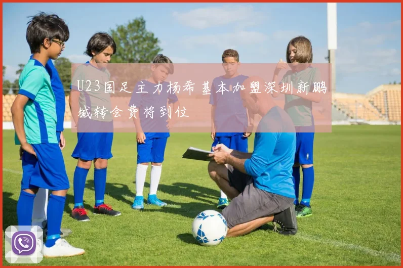 U23国足主力杨希基本加盟深圳新鹏城转会费将到位